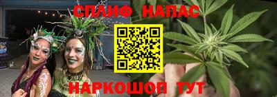 ГАЛЛЮЦИНОГЕННЫЕ ГРИБЫ Камышлов